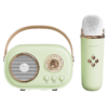 Retro Wireless Karaoke Speaker with Mic | Bluetooth 5.0, 6 Sound Modes - Image 4